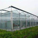 Large Glass Agricultural Greenhouses/Glass Greenhouses Used thumbnail-4