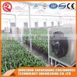 Factory Direct Anti Ultraviolet Solar Glass Greenhouse thumbnail-6