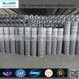 Stainless Steel Gabion Wire Mesh and Welded Wire Mesh Gabion