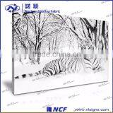 Outdoor Sport Use Long Life Backlit Banner thumbnail-2
