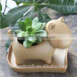 Small Animal Cat Dog Hippo Shape Flower Pot Pottery Pot thumbnail-2