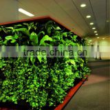 factory price high quality artificial plant wall/artificial vertical garden wall