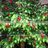 SJZJN 930 Fake Red Apple Tree/High Quality And High Imitation Product/Lowest Price Fruit Tree thumbnail-2
