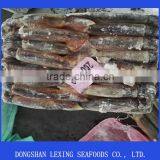 Frozen Illex Argentinus Squid