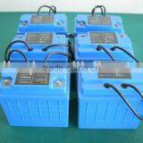 LiFePo4 Battery 12V 24V 100Ah Lithium Ion Batteries for Vehicle