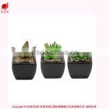 Artificial Mini Succulents Potted Succulent Plant Wholesale Small Succulent Plants thumbnail-1