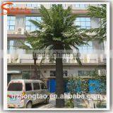 Artificial Palm Tree High Quatily Fiber Glass Trunk PE Leave Outdoor Landscape Decoration Plastic Big Date Palm Tree for Sale thumbnail-1