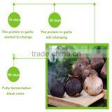 Healthy and Safe Product Black Garlic Expoeters in China thumbnail-3