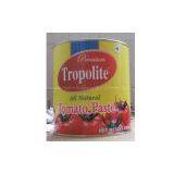 Tomato Paste Canned Food Export to Africa,Mid-East thumbnail-1