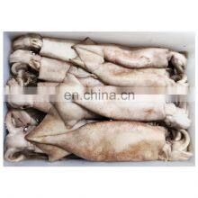 Wholesale IQF Frozen Squid Fish for Fishing Bait