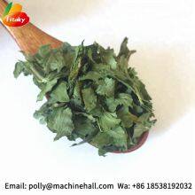 High Quality Organic Dried Celery Flakes Wholesale Price thumbnail-2