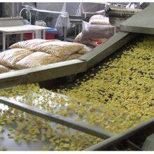 Full Reduction High Efficiency Corn Flakes Machine Made in China Cereal Making Machine Small Capacity Corn Flakes thumbnail-5