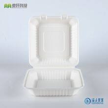 PFAS FREE Disposable Biodegradable 9*9 Take Away Sugarcane Bagasse Clamshell Container thumbnail-2