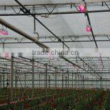 LED GROW LAMP thumbnail-1