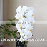 High Simulation Butterfly Orchid a Plastic Handle Great Branches 11 Head Simulation Flowers/wedding Decoration thumbnail-5