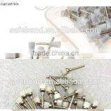 Dental Mini Polisher - Free Dental Prophy Angles Disposable Firm Cup/Dental Prophy Cup thumbnail-1