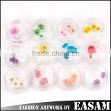 Wholesale Nail Art Dry Dried Flowers Decoration With Mix Different Colors Quality Choice thumbnail-1