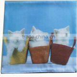 Printing Cashion & Cashion Cover thumbnail-4