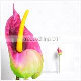 Decorative Anthurium For Home Decor