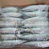 Frozen Mackerel thumbnail-3