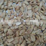 Roasted Blanched Peanuts Kernels thumbnail-2