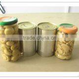 hot sell canned button mushroom