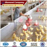 Lowest price Corrossion Resisting Plastic Flat Mesh for Chicken Cultivation