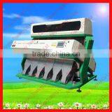 320 Channels Garlic Color Sorter for Sale 0086 371 65866393