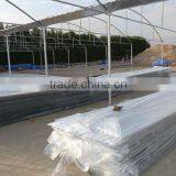 Green House (Polycarbonate Valuview ROMA Sheets) thumbnail-5