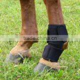 Horse Boots thumbnail-1