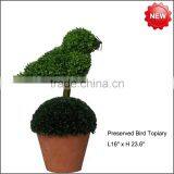 Preserved Boxwood Animal Topiary Factory thumbnail-1