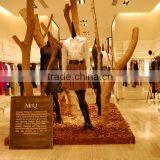 Window Display Dry Tree Dry Trunk Dry Log