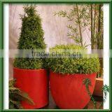 Flower Pot thumbnail-1