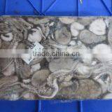Frozen Octopus Whole thumbnail-3