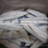 Frozen Spanish Mackerel Fillet Skin on thumbnail-1