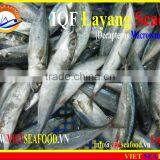 IQF LAYANG SCAD WHOLE ROUND thumbnail-5