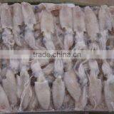 Seafood Squid (baby Squid) thumbnail-1