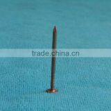 Decorative Copper Nails thumbnail-1