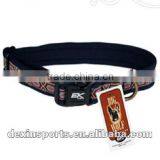 2014 New Product and Wholesale Pet Supply thumbnail-1