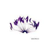 Sell Stripped Cock Tails thumbnail-1