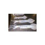 Argentina Loligo Gahi Squid thumbnail-1