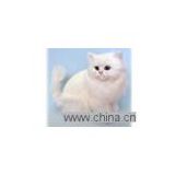 fur animal decoration gifts, synthetic fur animals, real-like animals dolls