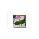 Printer Machine for Ceramic