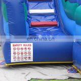 TOP Gaint Inflatable Water Slide for Sale , Inflatable Slide With Pool thumbnail-4