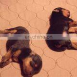 Reusable Washable Dog Pee Pad Waterproof Puppy Training Pad thumbnail-3