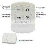 Wholesale Battery Powered Led Lights Led Night Lamp With Remote Control for Emergency thumbnail-4