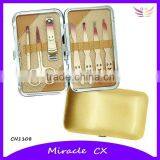 Unique Nail Tools With Painting Beauty Kit