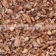 Wholesale Raw Coconut Shell For Making Charcoal Besr Price From Vietnam thumbnail-2