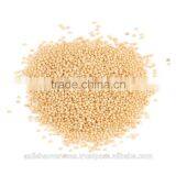 Amaranthus Seeds thumbnail-6