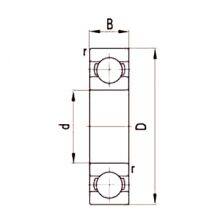 618/630 M Deep Groove Ball Bearings 630X780X69mm WKKZ 10008/630 Bearings Origin China Bearings High Quality Precision Bearings thumbnail-2